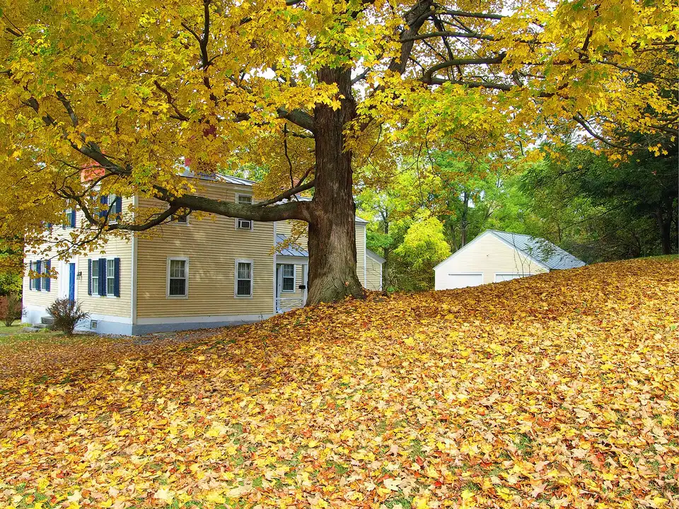 Autumn in Summer Hill Street, Springfield, Vermont.